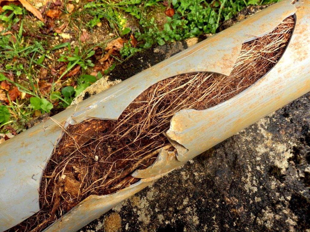 Wollongong pipe relining service